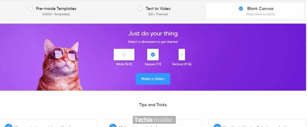 Blank Canvas Option in InVideo